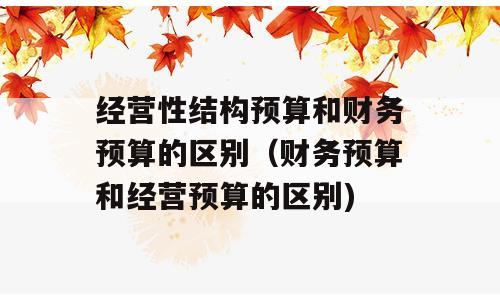 经营性结构预算和财务预算的区别（财务预算和经营预算的区别)