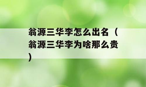 翁源三华李怎么出名（翁源三华李为啥那么贵)