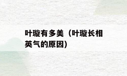 叶璇有多美（叶璇长相英气的原因)