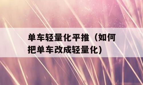 单车轻量化平推（如何把单车改成轻量化)