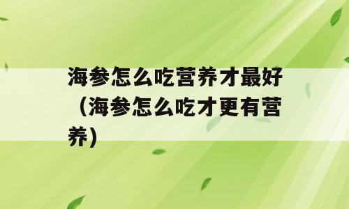 海参怎么吃营养才最好（海参怎么吃才更有营养)