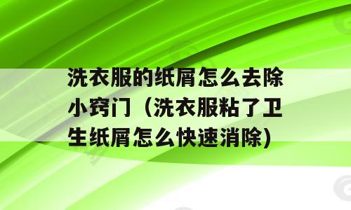 洗衣服的纸屑怎么去除小窍门（洗衣服粘了卫生纸屑怎么快速消除)