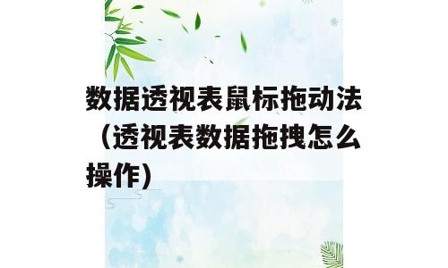 数据透视表鼠标拖动法（透视表数据拖拽怎么操作)