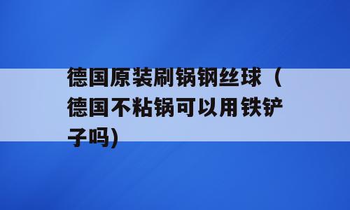 德国原装刷锅钢丝球（德国不粘锅可以用铁铲子吗)