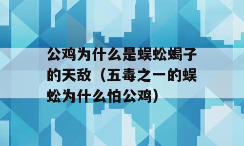 公鸡为什么是蜈蚣蝎子的天敌（五毒之一的蜈蚣为什么怕公鸡）