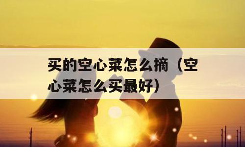 买的空心菜怎么摘（空心菜怎么买最好）
