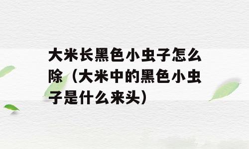 大米长黑色小虫子怎么除（大米中的黑色小虫子是什么来头）