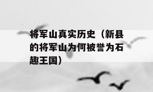 将军山真实历史（新县的将军山为何被誉为石趣王国）