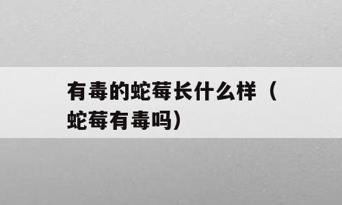 有毒的蛇莓长什么样（蛇莓有毒吗）