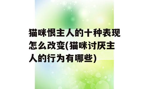 猫咪恨主人的十种表现怎么改变(猫咪讨厌主人的行为有哪些)
