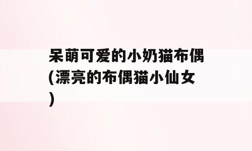 呆萌可爱的小奶猫布偶(漂亮的布偶猫小仙女)