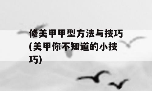 修美甲甲型方法与技巧(美甲你不知道的小技巧)