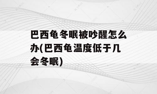巴西龟冬眠被吵醒怎么办(巴西龟温度低于几会冬眠)