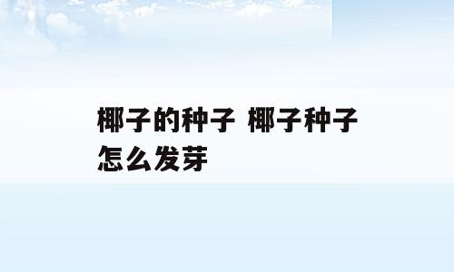 椰子的种子 椰子种子怎么发芽