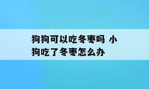 狗狗可以吃冬枣吗 小狗吃了冬枣怎么办