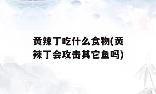 黄辣丁吃什么食物(黄辣丁会攻击其它鱼吗)
