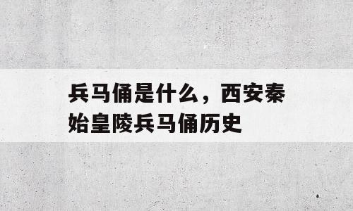 兵马俑是什么，西安秦始皇陵兵马俑历史
