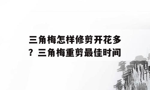 三角梅怎样修剪开花多？三角梅重剪最佳时间