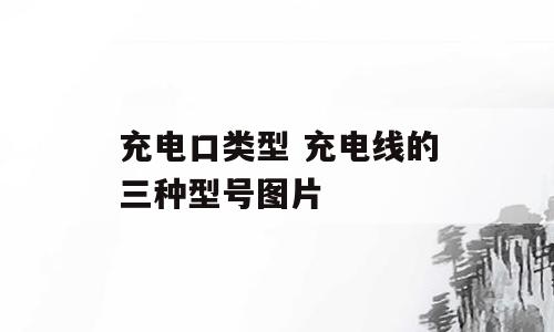 充电口类型 充电线的三种型号图片