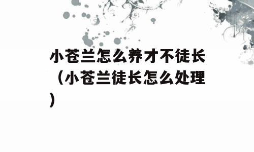 小苍兰怎么养才不徒长（小苍兰徒长怎么处理)