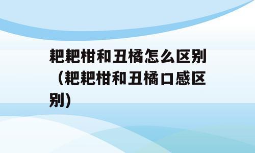 耙耙柑和丑橘怎么区别（耙耙柑和丑橘口感区别)