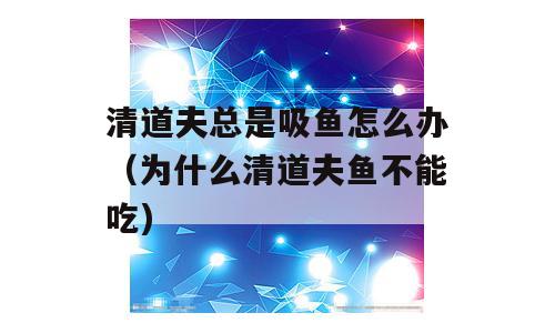 清道夫总是吸鱼怎么办（为什么清道夫鱼不能吃)