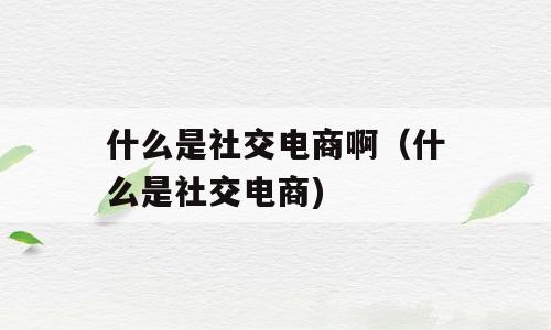 什么是社交电商啊（什么是社交电商)