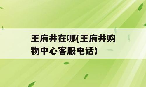 王府井在哪(王府井购物中心客服电话)