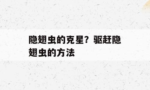 隐翅虫的克星？驱赶隐翅虫的方法