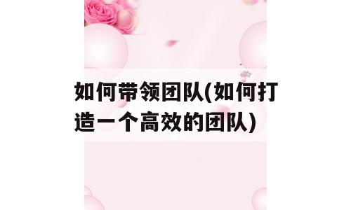 如何带领团队(如何打造一个高效的团队)