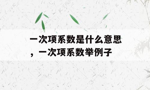 一次项系数是什么意思，一次项系数举例子