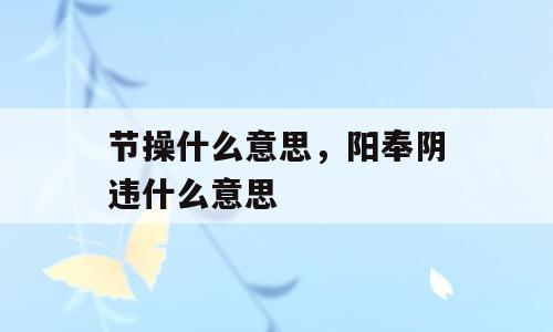 节操什么意思，阳奉阴违什么意思