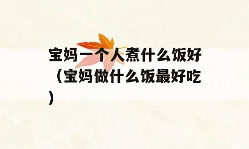 宝妈一个人煮什么饭好（宝妈做什么饭最好吃)
