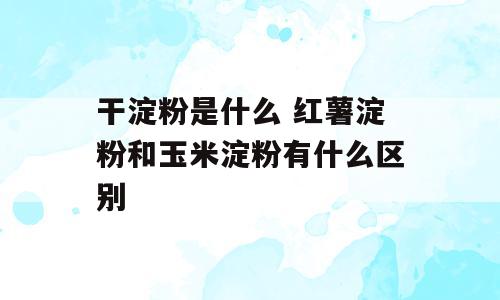 干淀粉是什么 红薯淀粉和玉米淀粉有什么区别