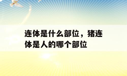 连体是什么部位，猪连体是人的哪个部位