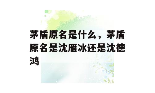茅盾原名是什么，茅盾原名是沈雁冰还是沈德鸿