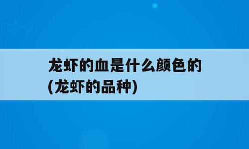 龙虾的血是什么颜色的(龙虾的品种)