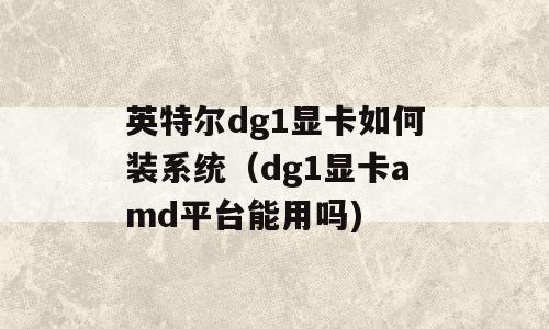 英特尔dg1显卡如何装系统（dg1显卡amd平台能用吗)