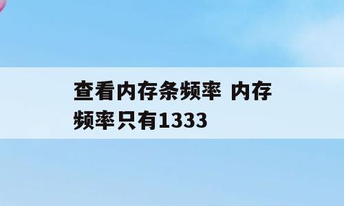 查看内存条频率 内存频率只有1333