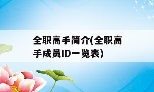 全职高手简介(全职高手成员ID一览表)