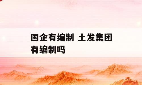 国企有编制 土发集团有编制吗