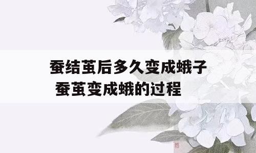 蚕结茧后多久变成蛾子 蚕茧变成蛾的过程