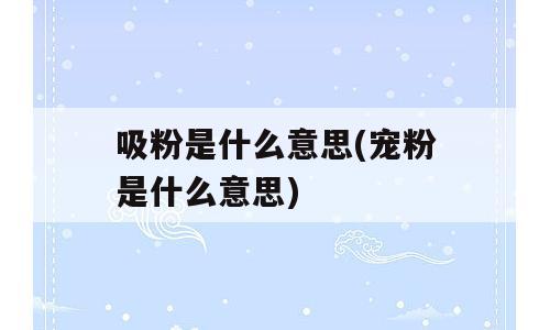 吸粉是什么意思(宠粉是什么意思)