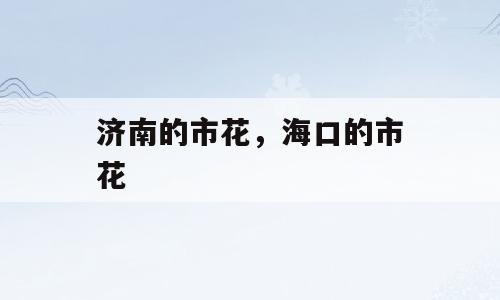 济南的市花，海口的市花