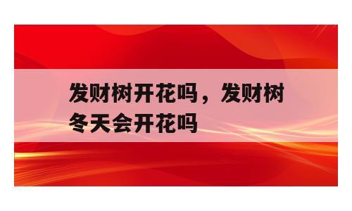发财树开花吗，发财树冬天会开花吗