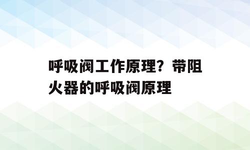 呼吸阀工作原理？带阻火器的呼吸阀原理