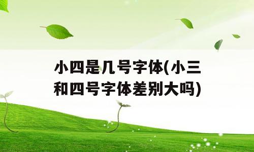 小四是几号字体(小三和四号字体差别大吗)