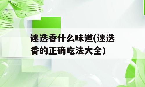 迷迭香什么味道(迷迭香的正确吃法大全)