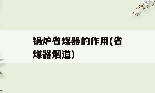 锅炉省煤器的作用(省煤器烟道)