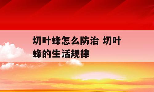 切叶蜂怎么防治 切叶蜂的生活规律